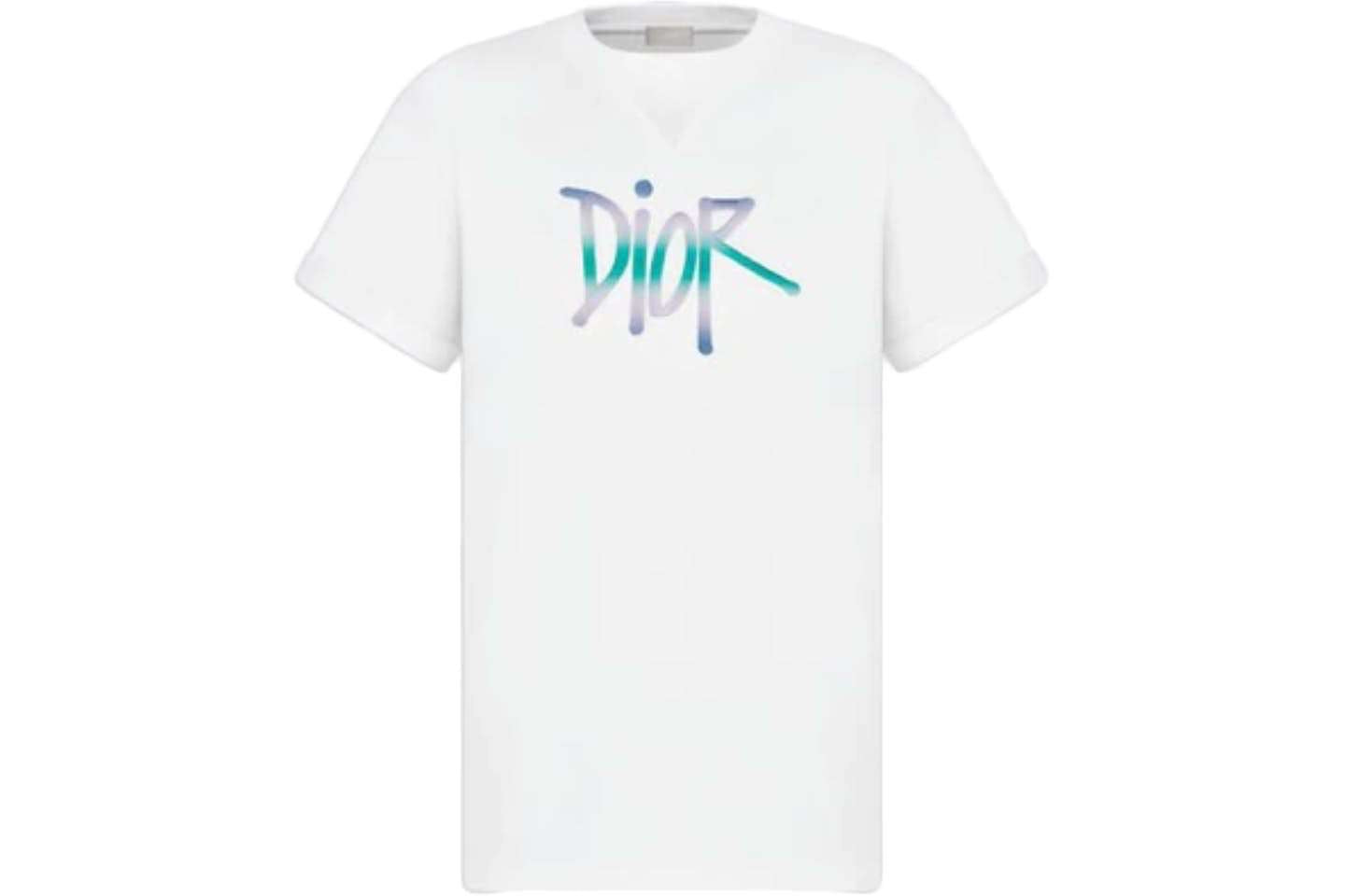 Dior And Shawn Oversized Logo T-shirt