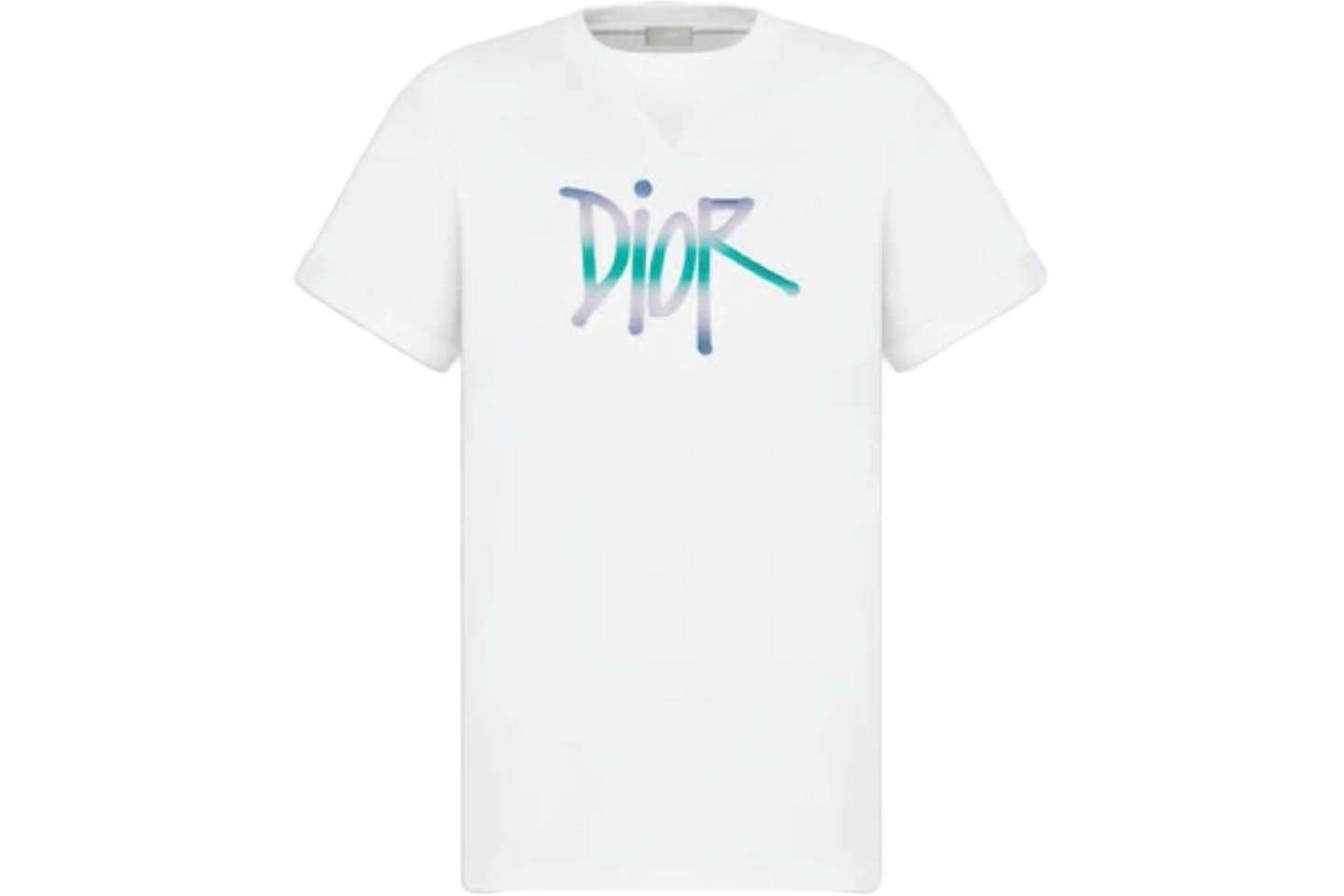 Dior And Shawn Oversized Logo T-shirt - T-shirt - Dior