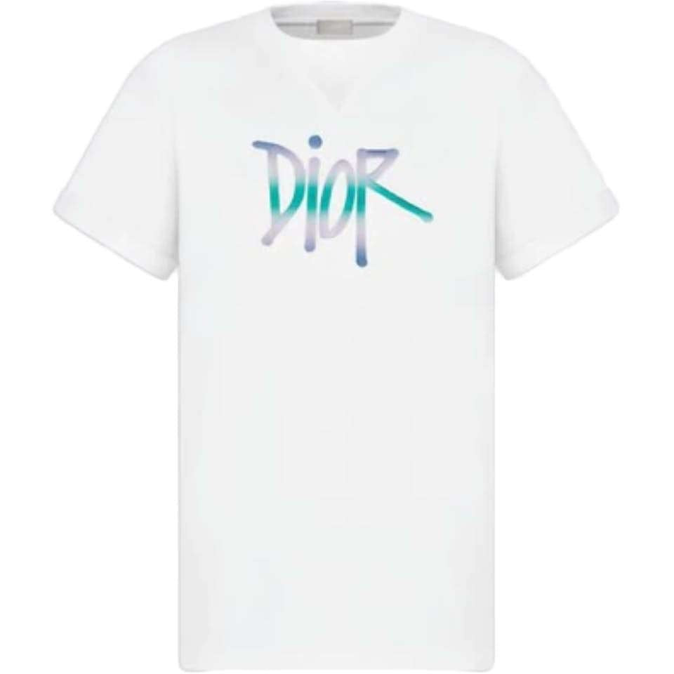 Dior And Shawn Oversized Logo T-shirt - T-shirt - Dior